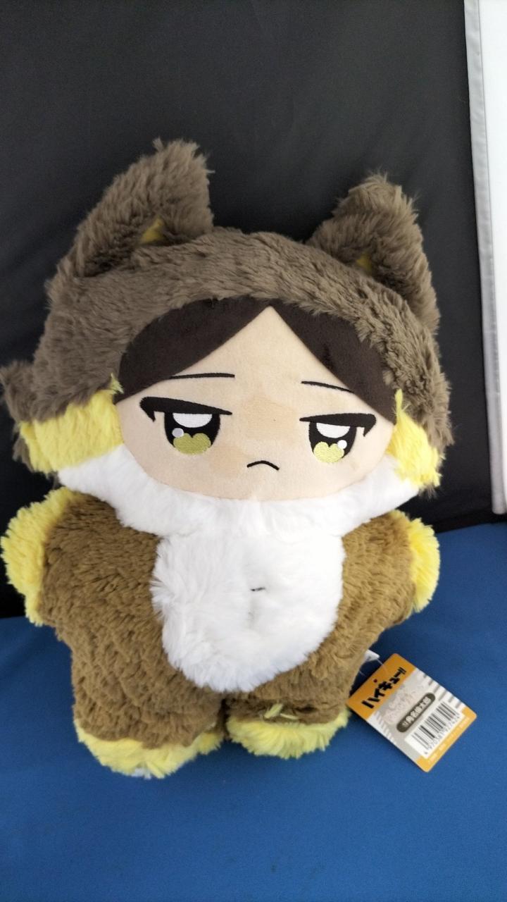 現状品での販売になります