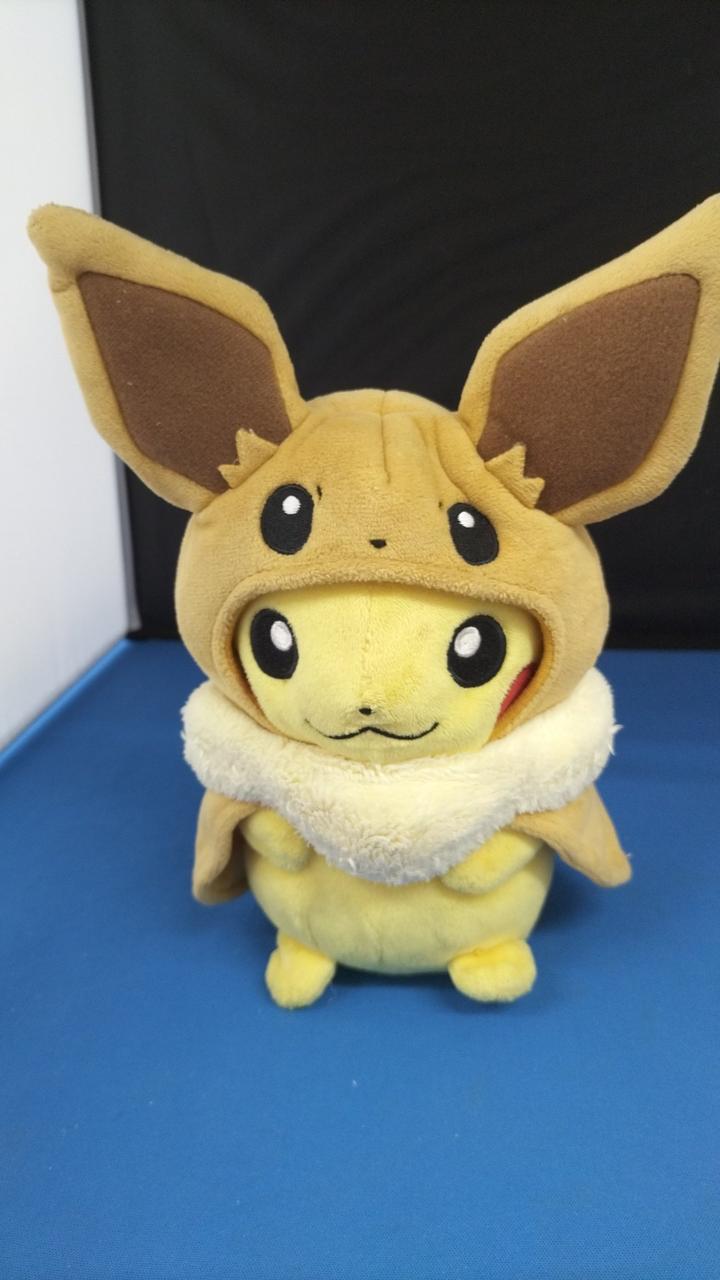 現状品での販売になります