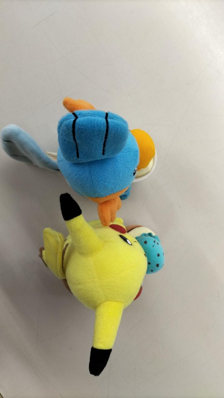 ポケモンセンター|激レア ぬいぐるみ|HARDOFFオフモール（オフモ