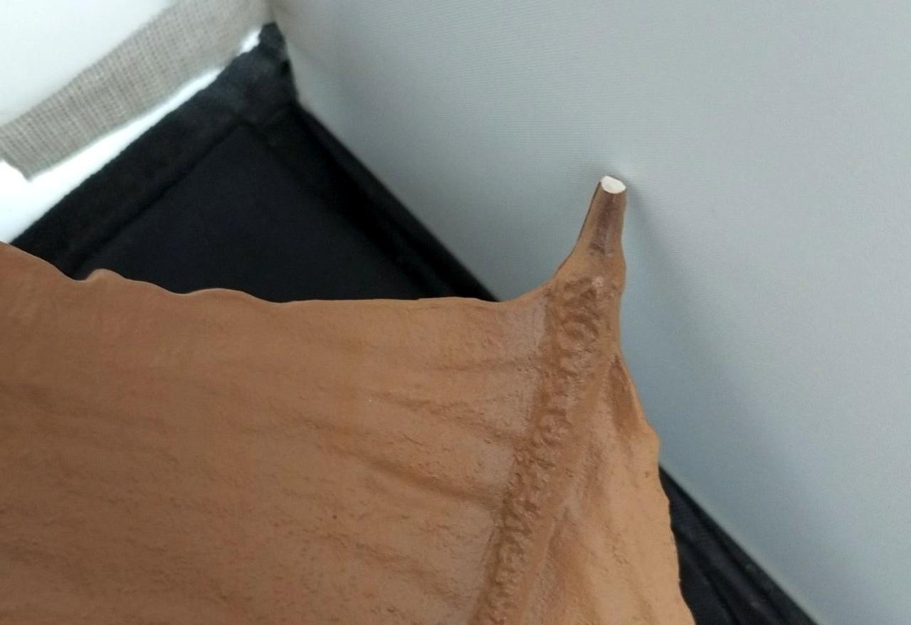 翼パーツの一部が欠けています