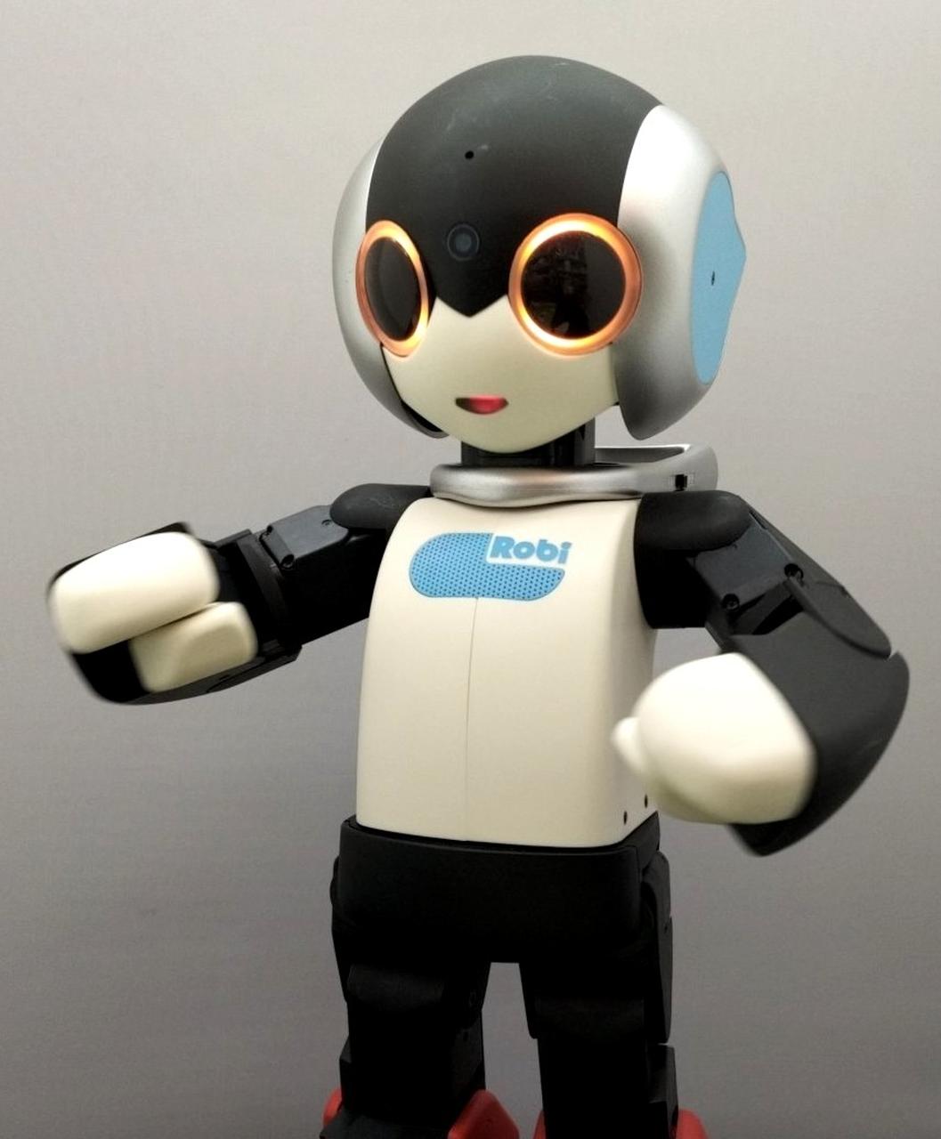 動作、音声認識確認済み