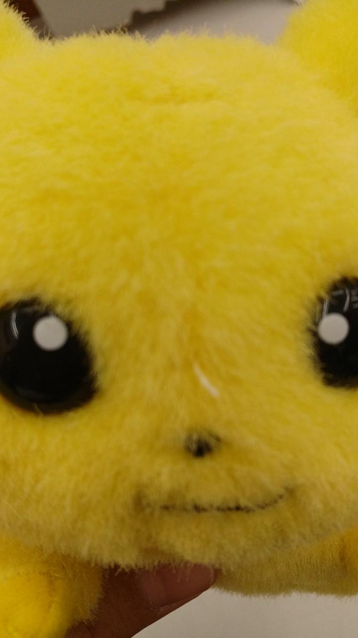 鼻の上糸が出ています