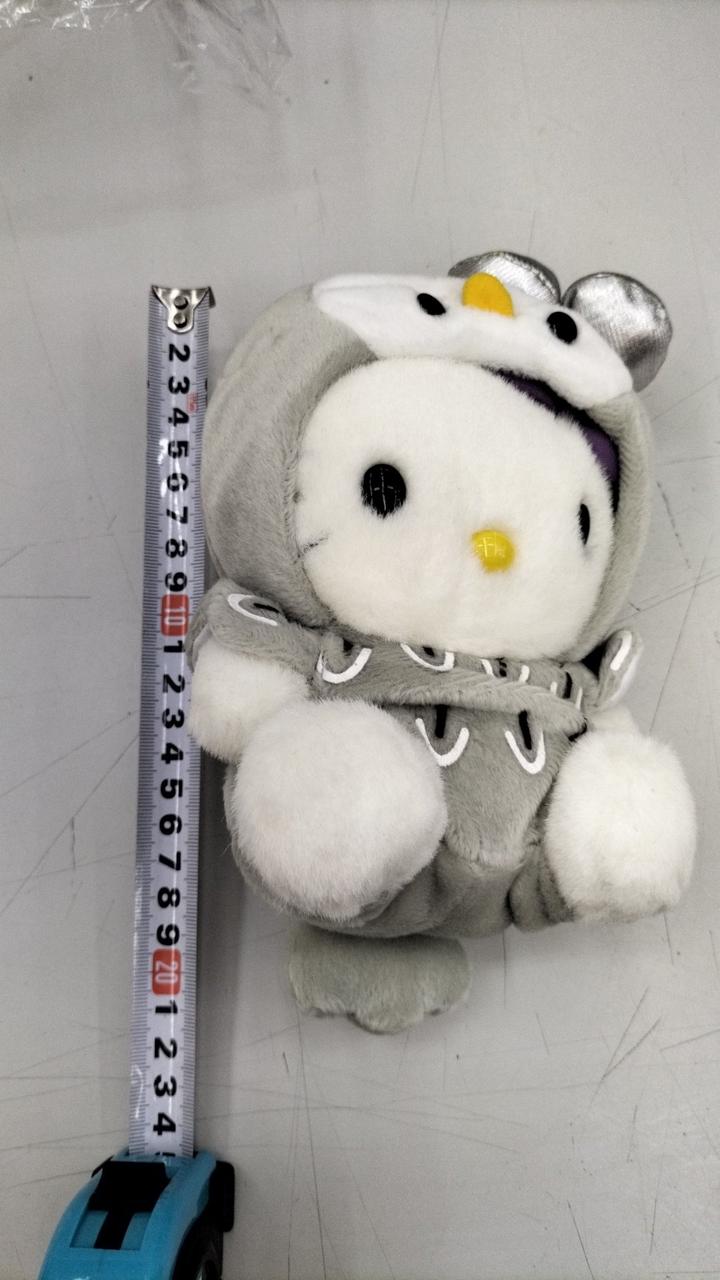 約20cmです