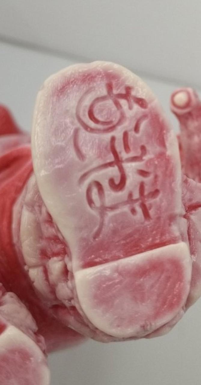 もうこやま|ゴリラフランケン イベント限定|HARDOFFオフモール（オフモ