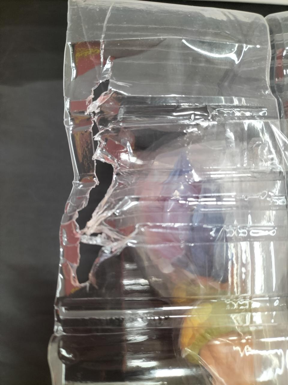 ブリスター破損しています