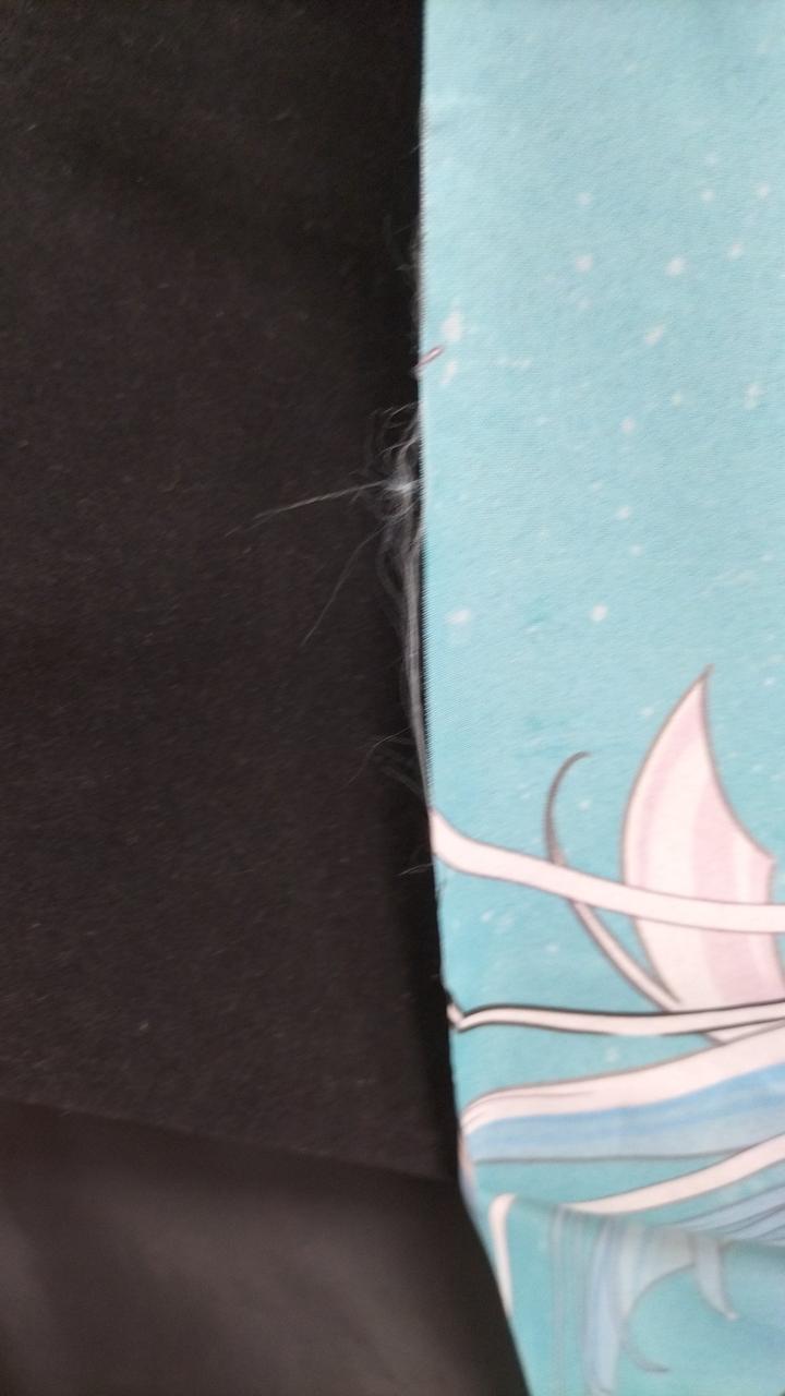 ほつれあり