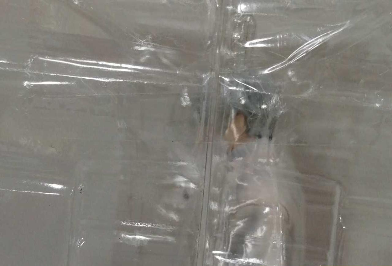 箱は開封済ですが、中身は未開封です。