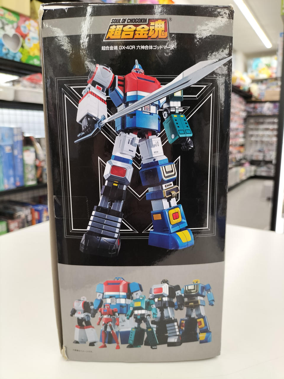 HGFC RG 組み立て済み　6体セット HG[ハイグレード] 1/144 ザクII C-6/R6型 お一人さま1点限り