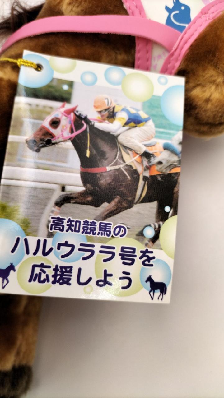 ぬいぐるみ 高知競馬ハルウララ号 1 競馬　激レア　ダービー 高知競馬|ハルウララぬいぐるみ|【ハードオフ公式通販】オフモール