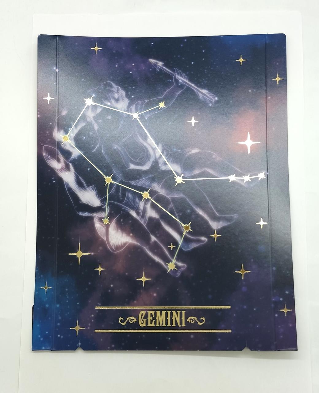 初回購入特典スクリーンジェミニ