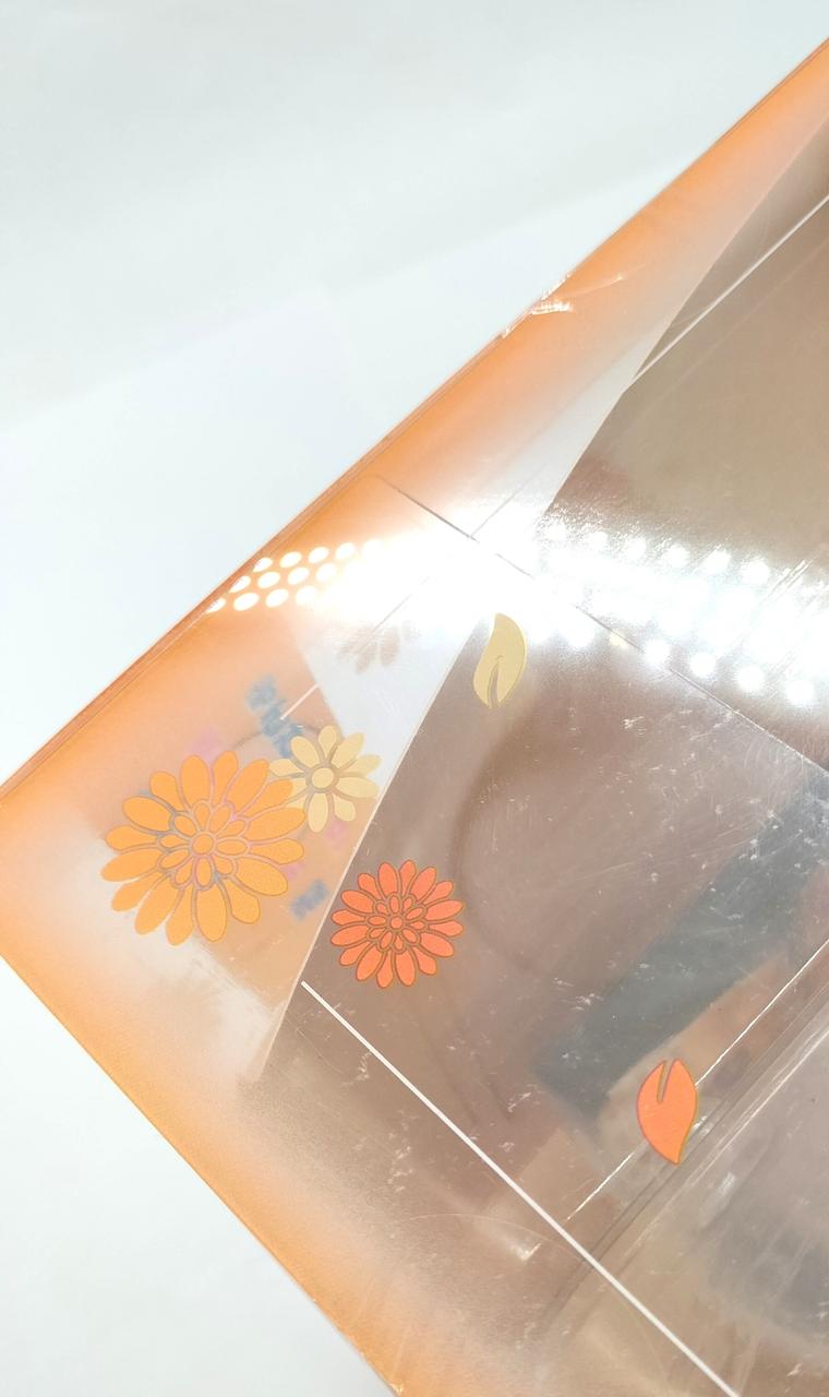 箱内の台紙が捲れ、角に小さな折れあり。