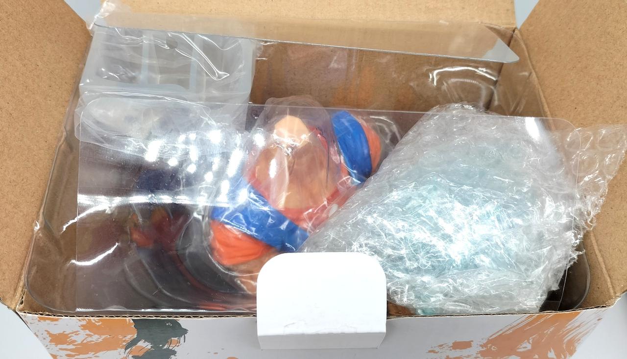 ブリスター付属