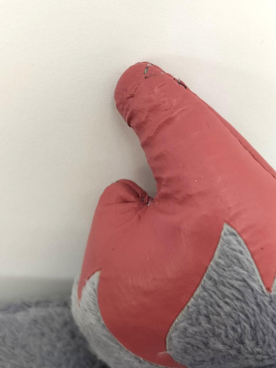 たてがみにややダメージあり。