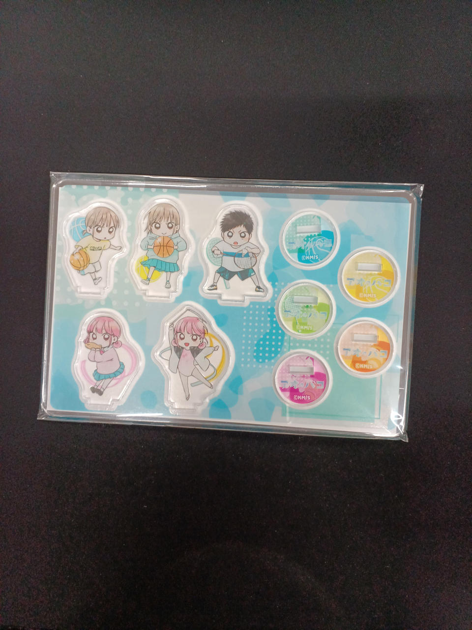 アオのハコ