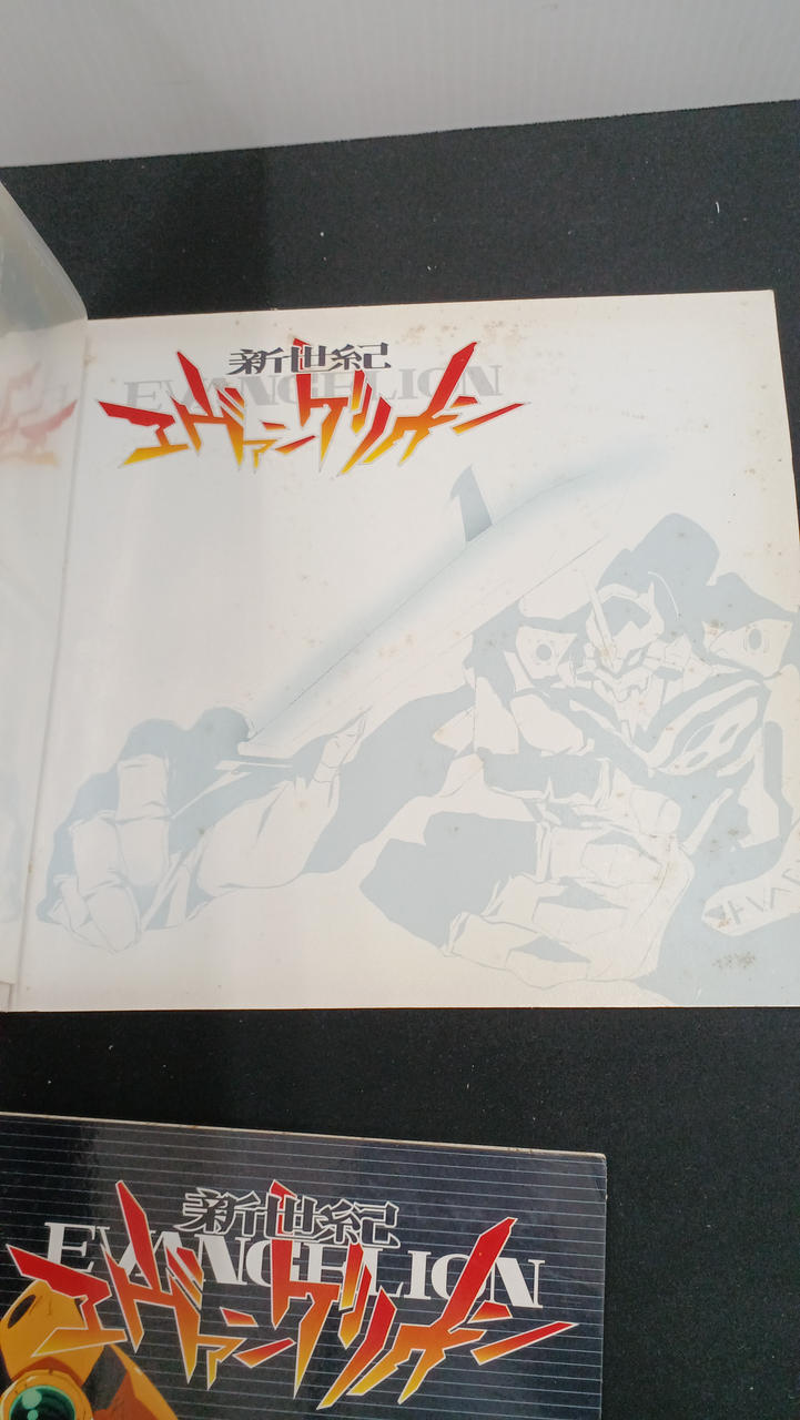 カルビー|エヴァンゲリオンチップス おまとめ品|【ハードオフ公式通販