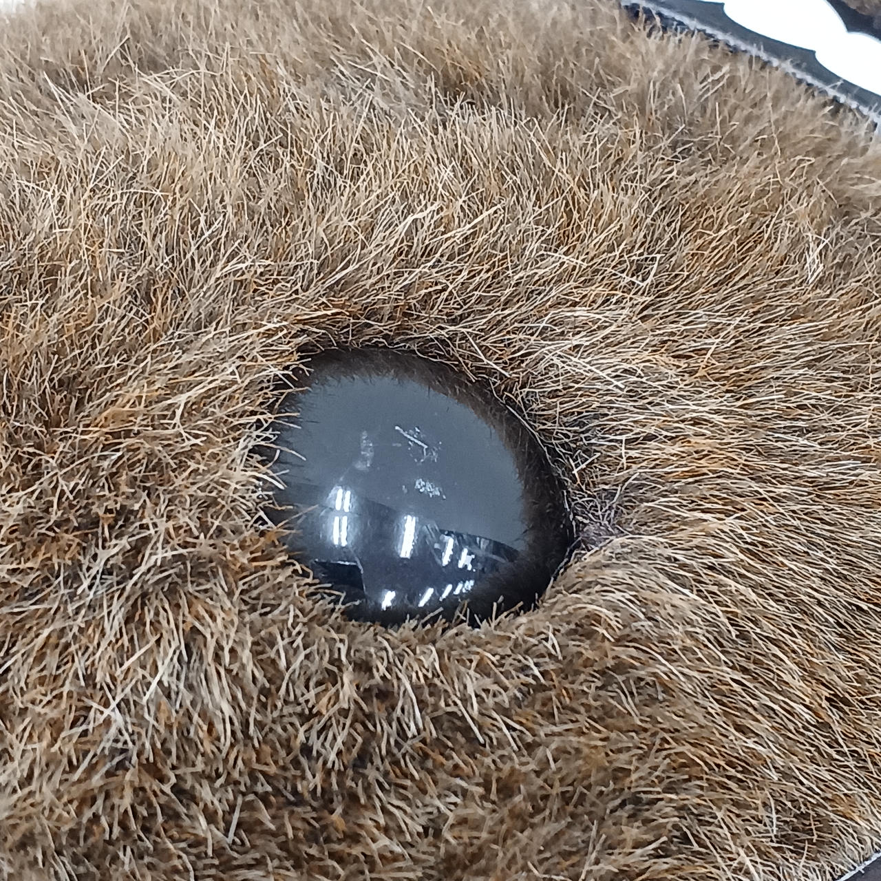 AVANTI|ディープインパクト ぬいぐるみ|HARDOFFオフモール