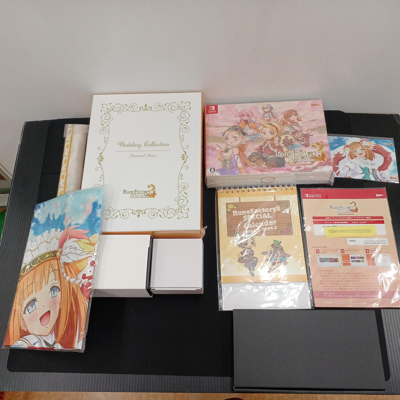 ルーンファクトリー3(ソフトは入っていません)