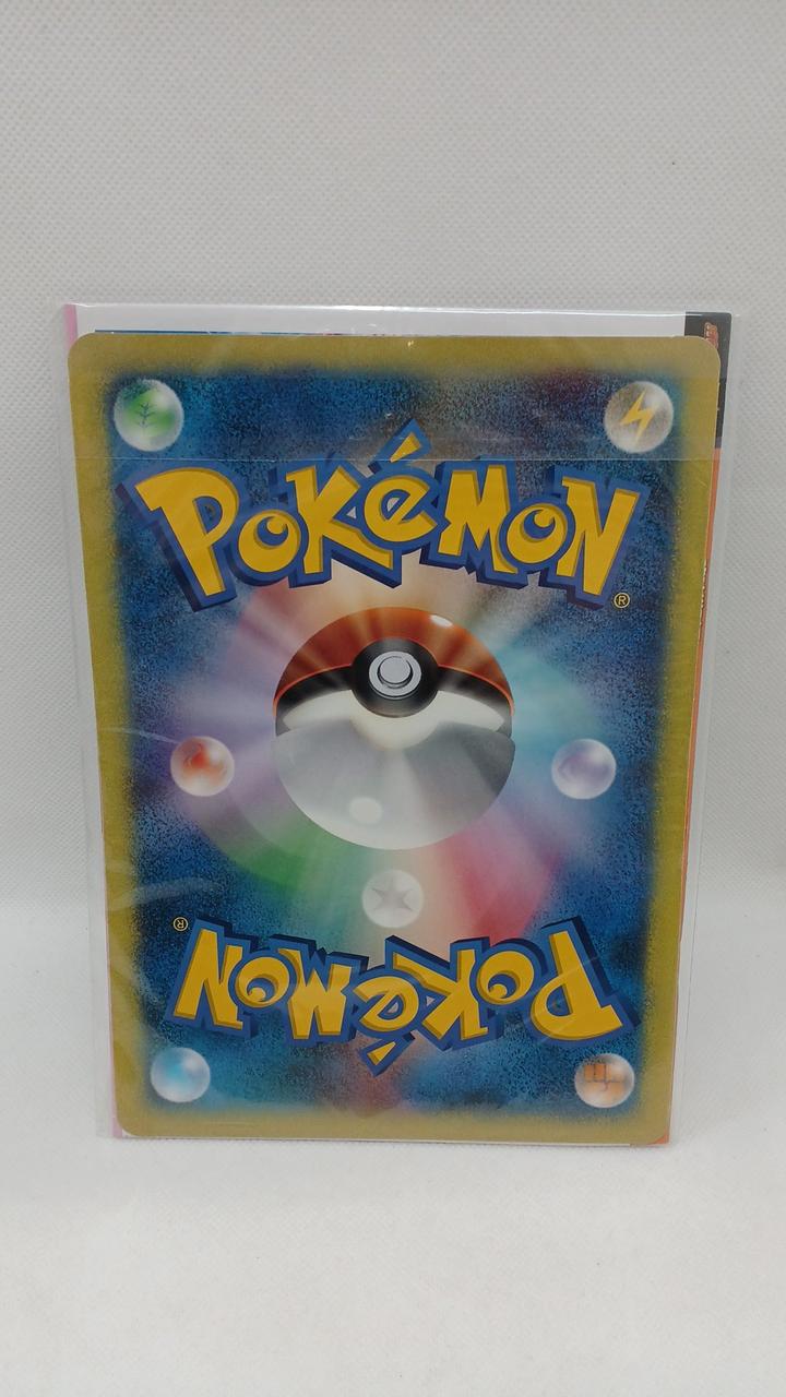 ポケモン|ポケモンだいすきクラブ夏休み大作戦！2005|【ハードオフ公式