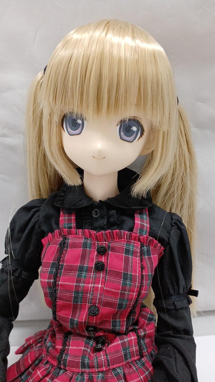スーパードルフィー アゾン BJD Volks Azone collector