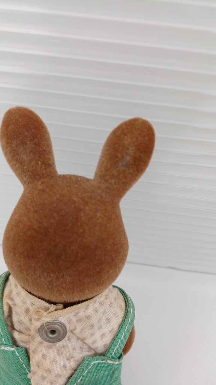 耳の後ろ、剥げちゃっています。。