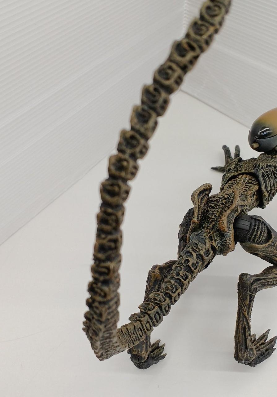 細かい繊維みたいなものが所々に付着有り