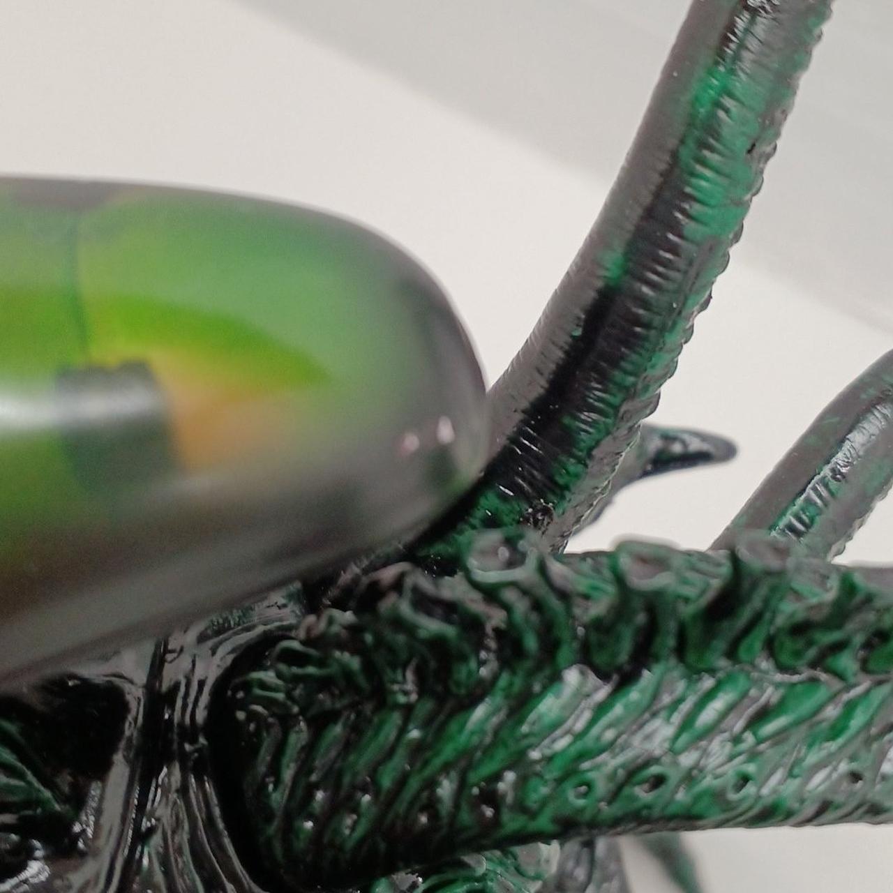 後頭部塗装剥げ有り