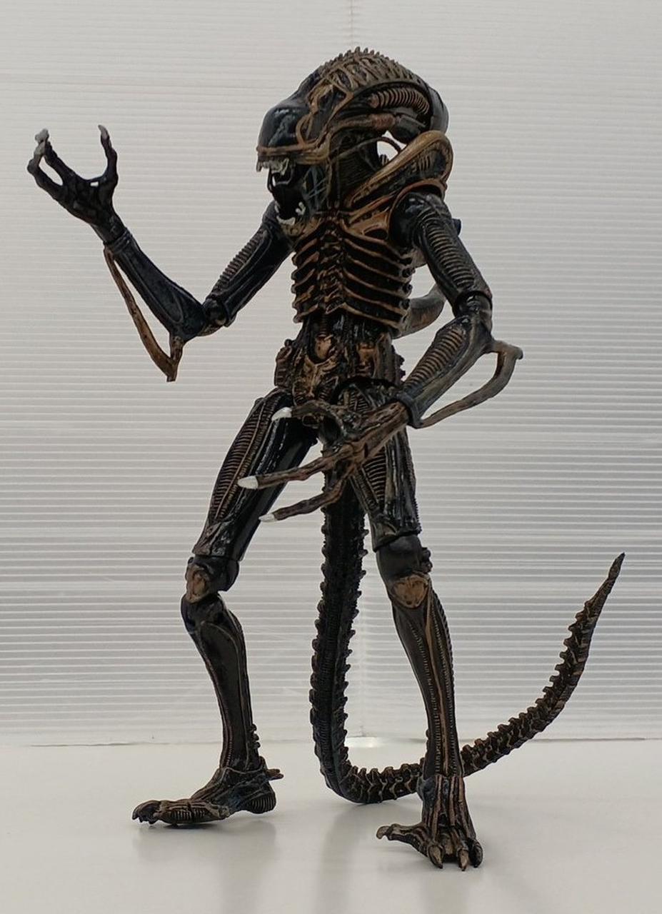 ネカ(NECA)|エイリアン|【ハードオフ公式通販】オフモール