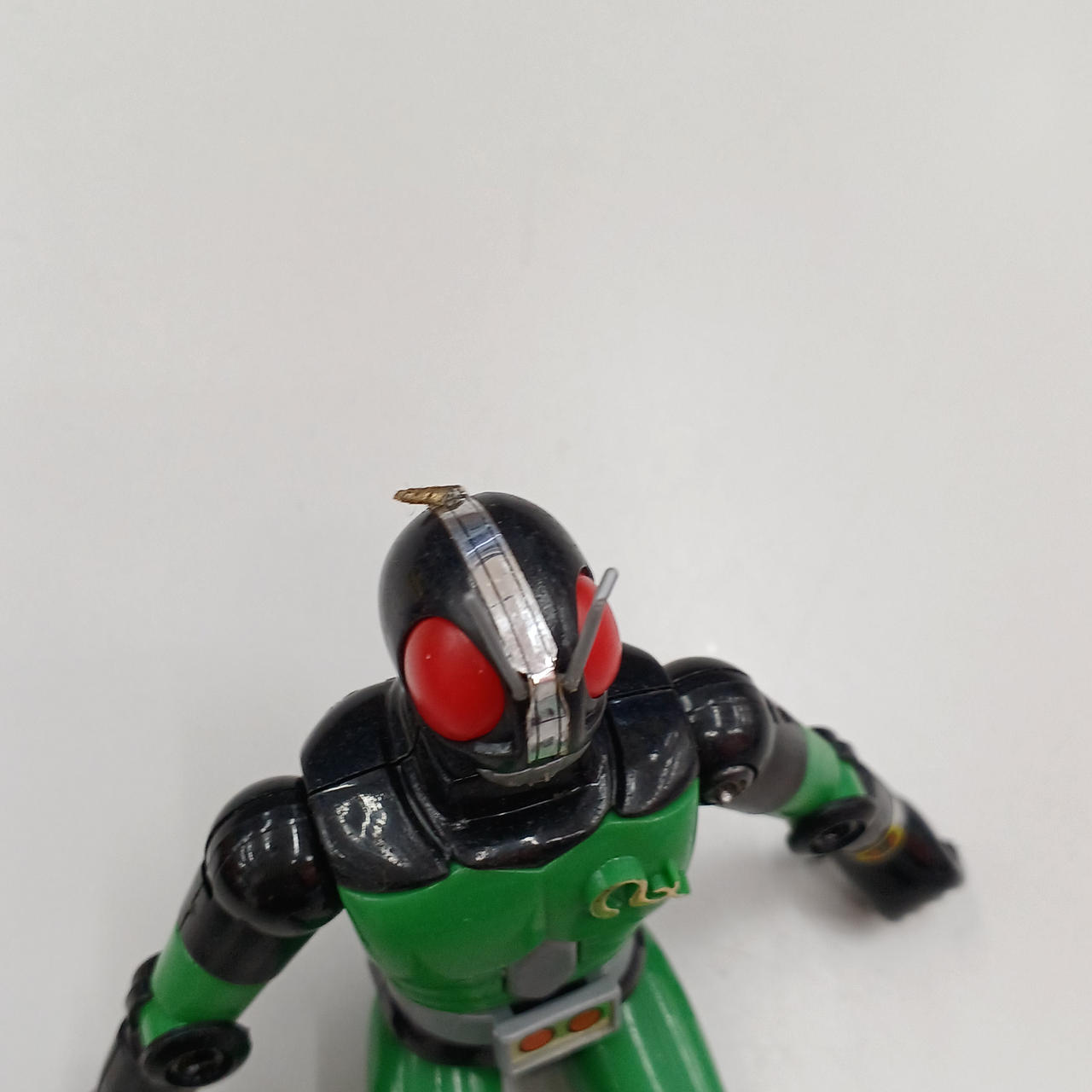 シール剥がれ、触覚曲がりあり