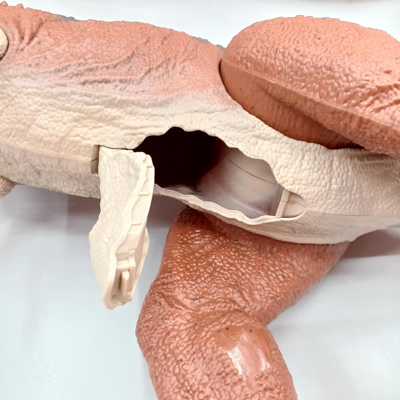 お腹からフィギュアを取り出せます