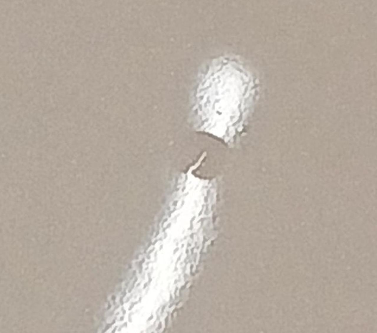 突起部分の拡大写真です