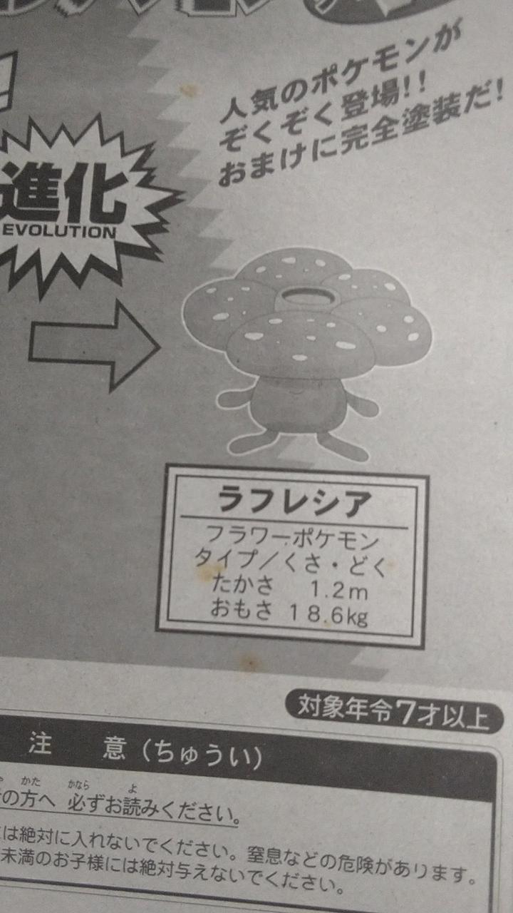 箱にシミあり。