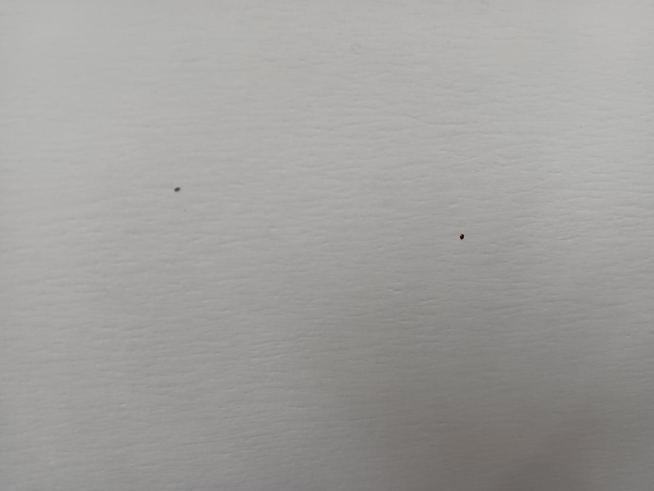 箱裏面汚れてます