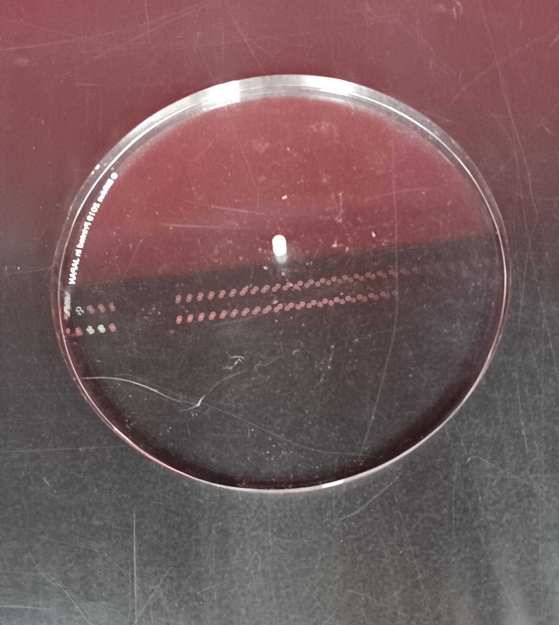 台座少しイタミあります