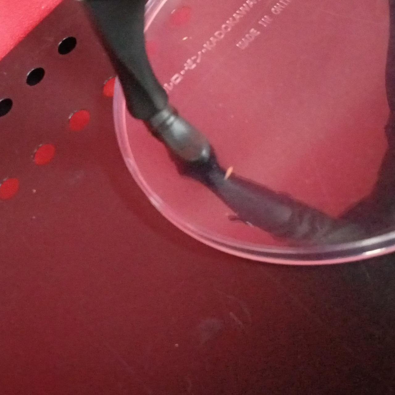 台座に傷みヨゴレあり