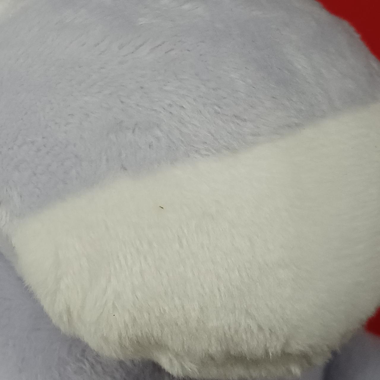 左耳に汚れあり