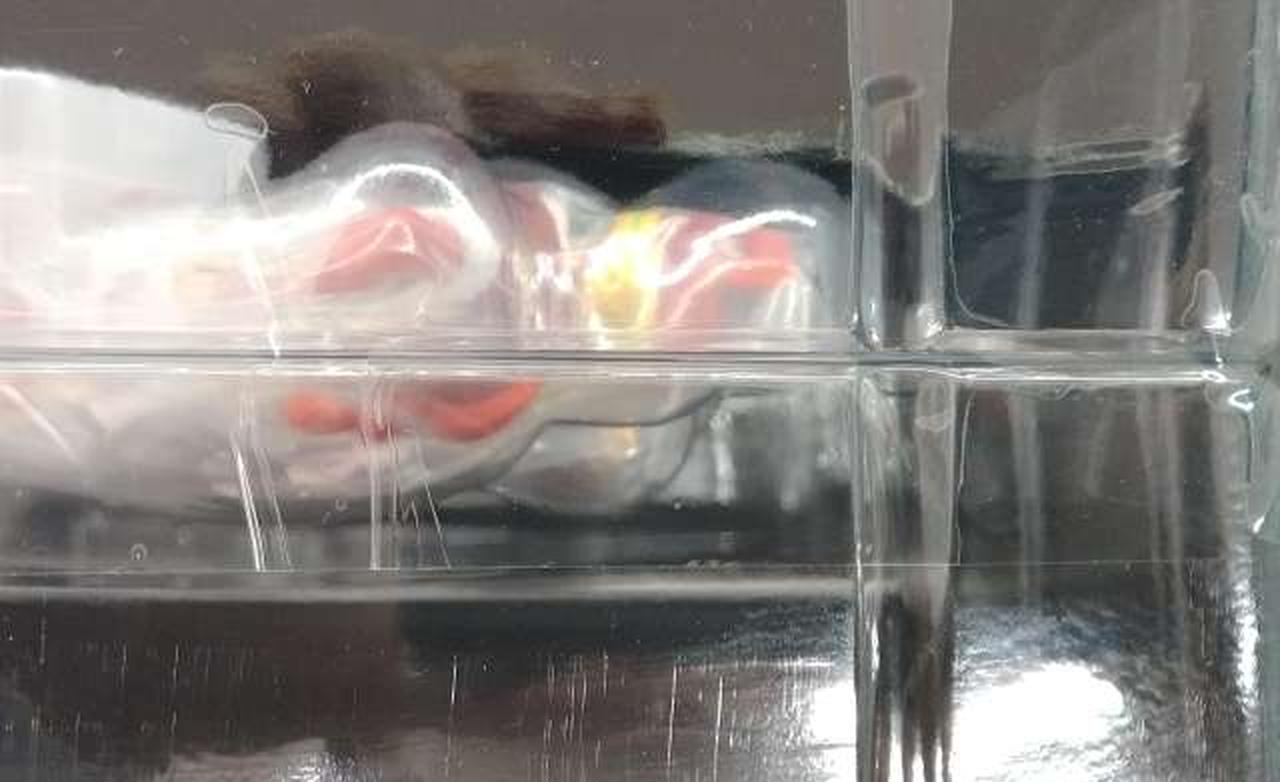 テープ貼付部分②