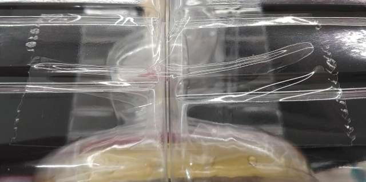 本体　テープ貼付部分②