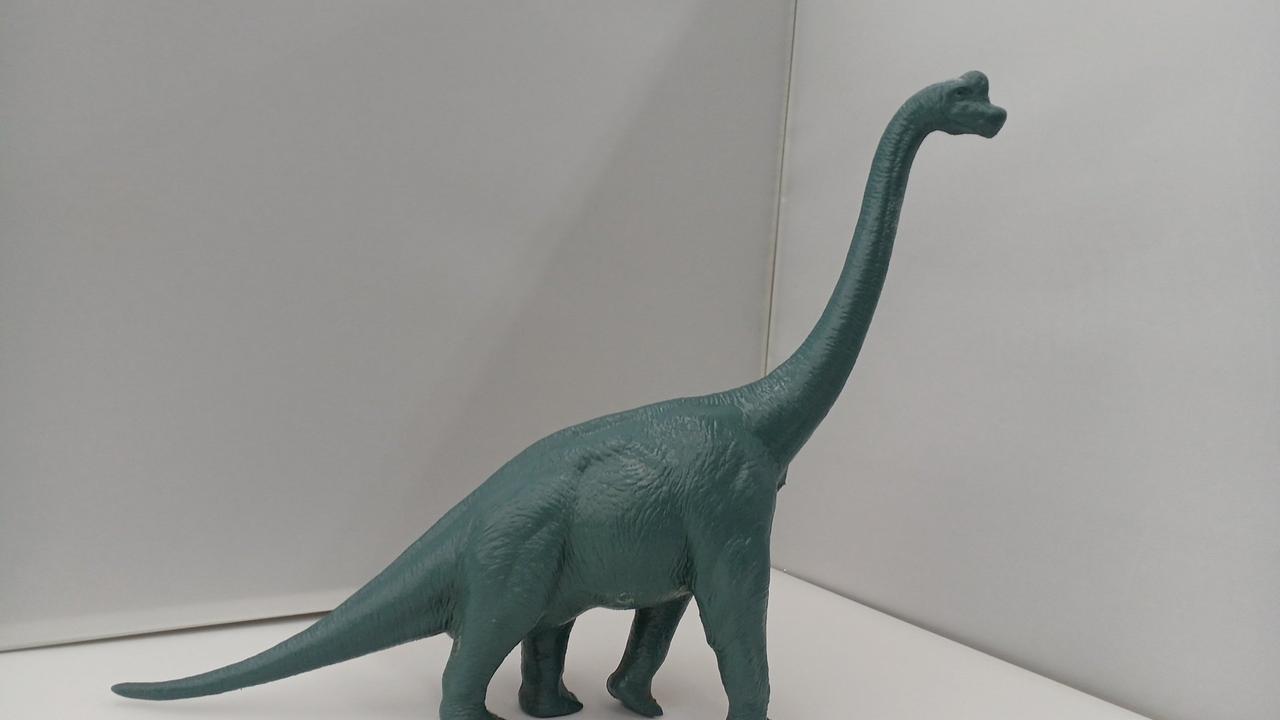 大英博物館|ブラキオサウルス 1984|HARDOFFオフモール（オフモ