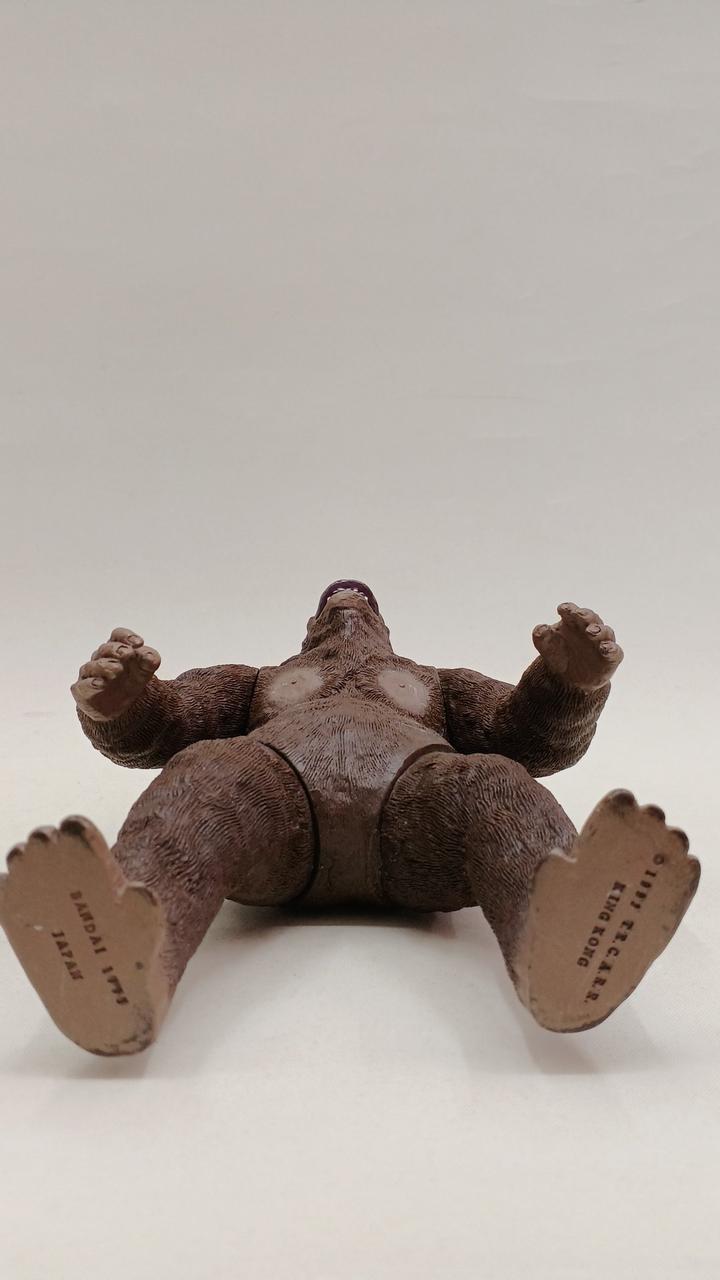 足裏色ハゲ有