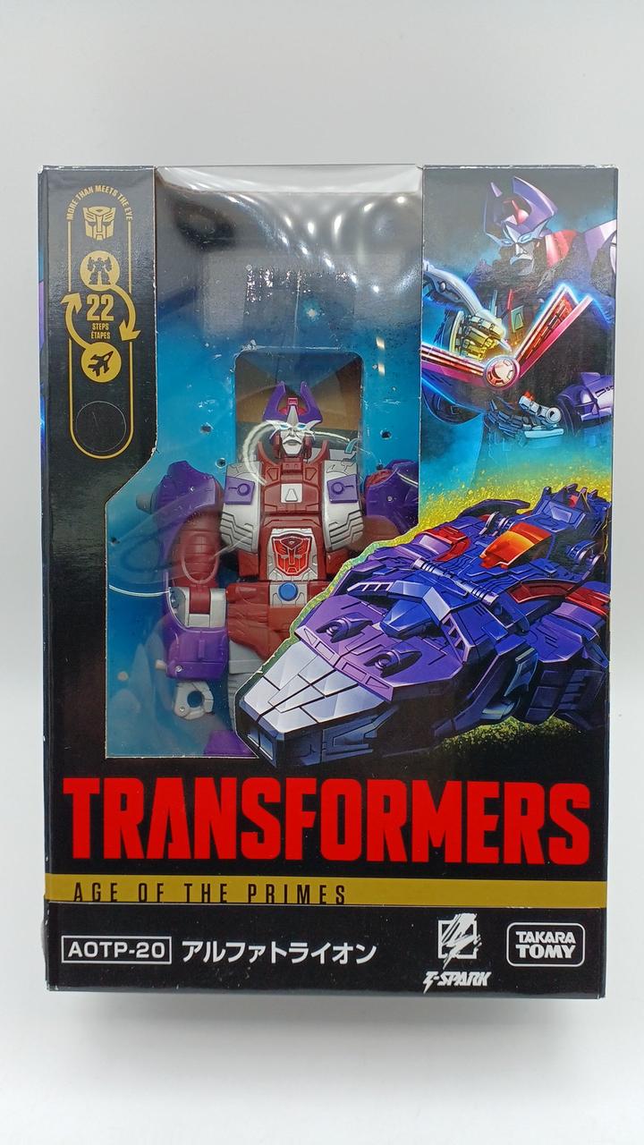 箱イタミあり・現状渡し