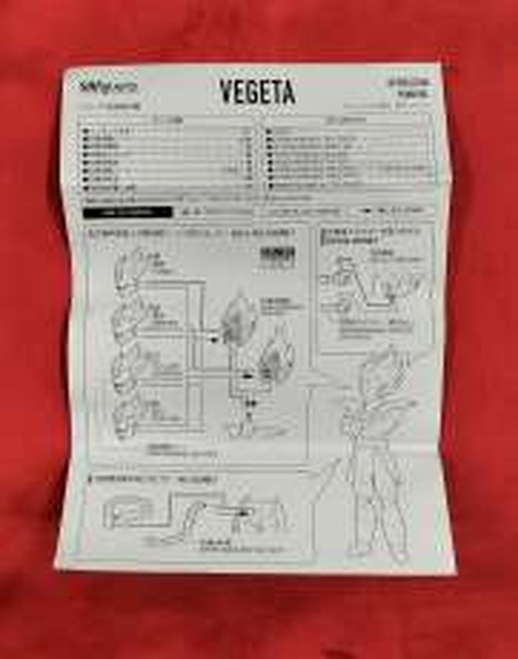 説明書傷みあり