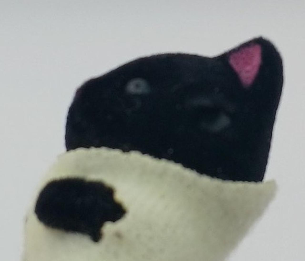 破れあり