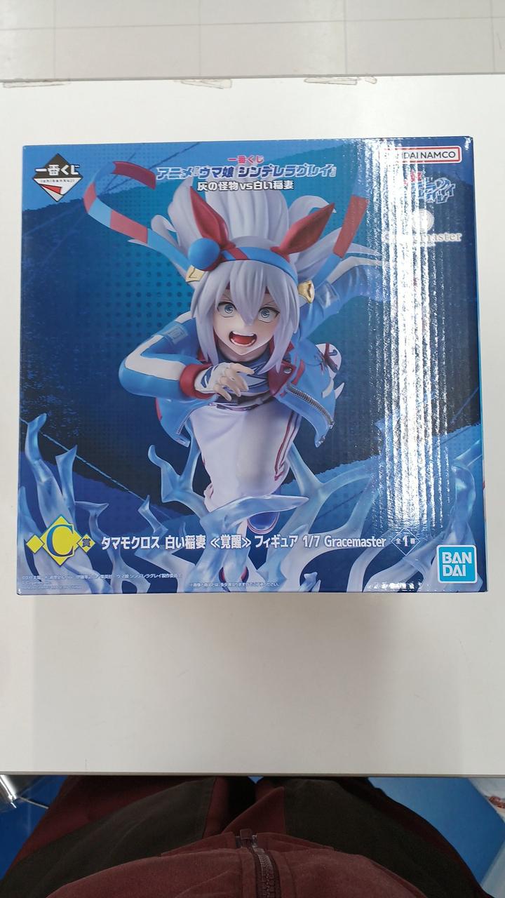 ウマ娘　シンデレラグレイ