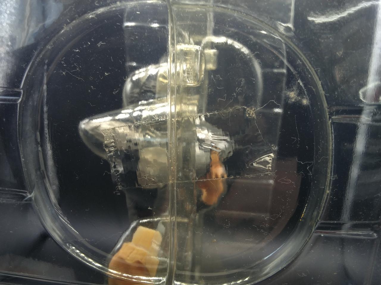 ブリスター未開封