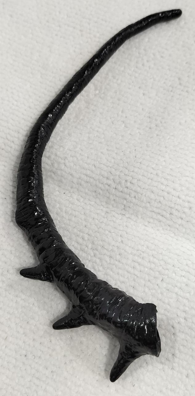 左触覚、破損しています