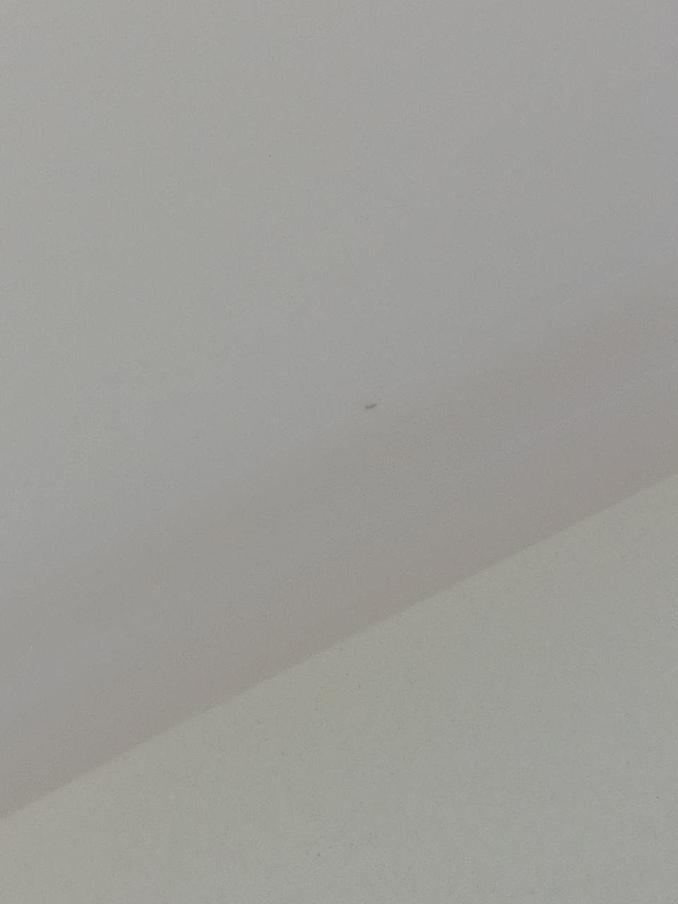 台座に汚れがあります。