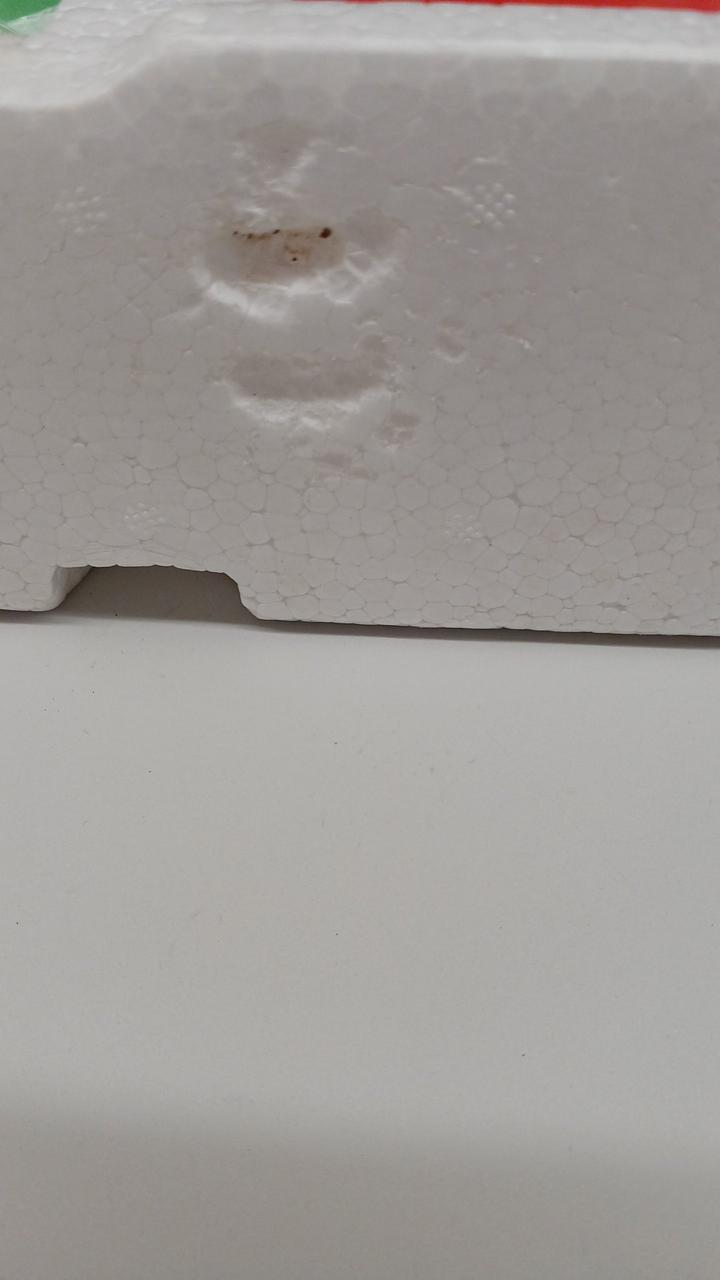 発泡スチロール欠けてます