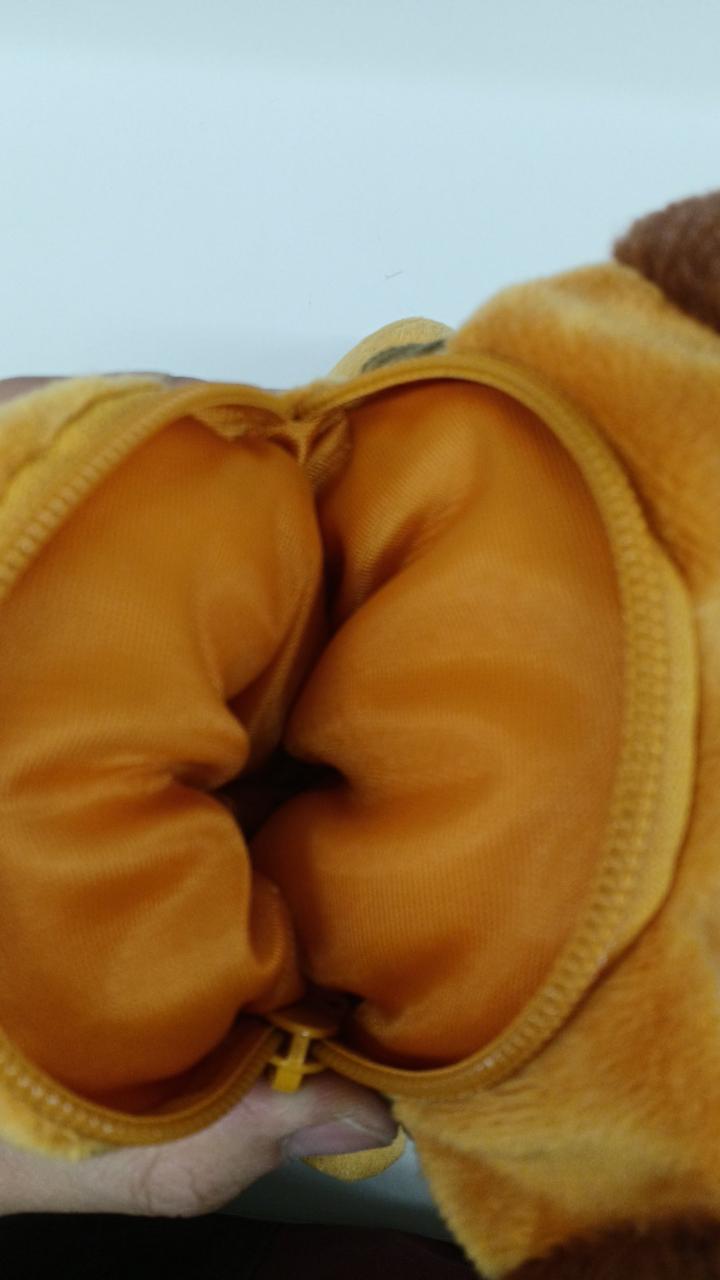 中の写真です！