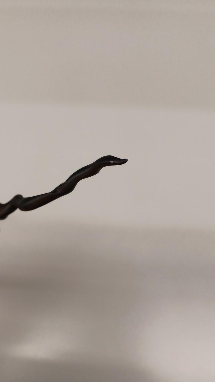 髪にキズあります