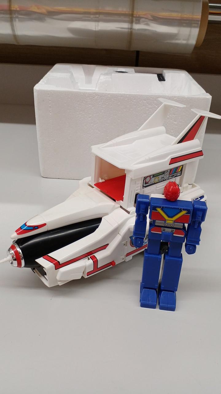 翼広げられます！